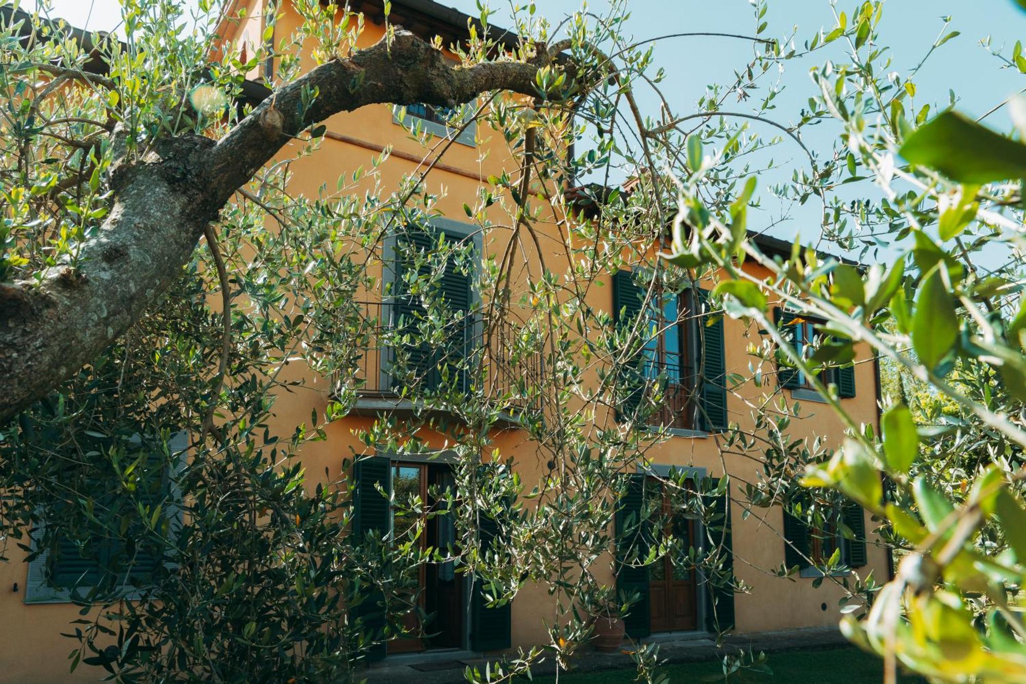 Agriturismo Il Borgo Cortona Exterior foto